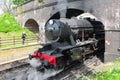 WD 90775 leaves, Weybourne, NNR