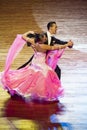 WDSF International style of Ballroomdancing Royalty Free Stock Photo