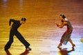 WDSF International style of Ballroomdancing Royalty Free Stock Photo