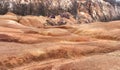 Weak life in selenian landscape of abandoned bauxite mine in Gant, Hungary