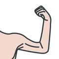 Weak male arms with flexed biceps muscles Royalty Free Stock Photo