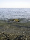 Weak waves gently wash the stones lying on the shallow bottom of the sea rocky shore in good weather