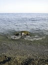 Weak waves gently wash the stones lying on the shallow bottom of the sea rocky shore in good weather