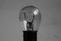 Weak yellow bulb light. small bulb black and white background Royalty Free Stock Photo