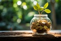 Wealth cultivation Glass piggy bank on a tree, gold coins Royalty Free Stock Photo