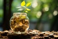 Wealth cultivation Glass piggy bank on a tree, gold coins Royalty Free Stock Photo