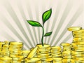 Wealth growing concept, money tree with coins stacks, vector illustration