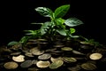 Wealth grows as a tree emerges, signifying savings, and investment Royalty Free Stock Photo