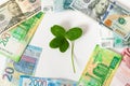 Wealth, success, business, lucky investment, win, jackpot concept. Lucky talisman. Money and shamrock. Four leaf clover among euro Royalty Free Stock Photo