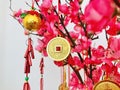 Wealth and treasure, golden copper coins, and charms hanging on peach blossom branches. select focus.