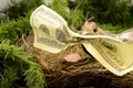 Wealthy Nest Egg Royalty Free Stock Photo