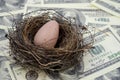 Wealthy Nest Egg Royalty Free Stock Photo