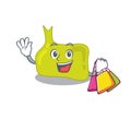 Wealthy pituitary cartoon character with shopping bags