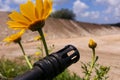 Weapon against colorful flowers, choosing between peace or war. Concept: stop conflict, feel the world beauty Royalty Free Stock Photo