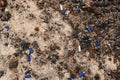 Used ammunition cartridges on a soil. 12 mm. background