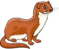 Weasel animal cartoon illustration Royalty Free Stock Photo