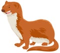 Weasel cartoon animal character