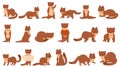 Weasel icons set cartoon vector. Ermine animal Royalty Free Stock Photo