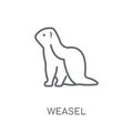 weasel linear icon. Modern outline weasel logo concept on white Royalty Free Stock Photo