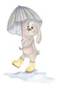 Weather bunny. Cute baby rabbits in different weather with different accessories