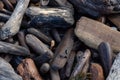 Weather driftwood tumbled on the Pacific Northwest beach