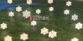 Snowy weather icons near Minsk city on the map, weather forecast related 3D rendering