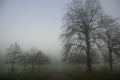 Weather / landscape: The sun sets on a foggy Autumn / Fall day over the park. 2