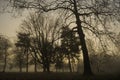 Weather / landscape: The sun sets on a foggy Autumn / Fall day over the park. 3