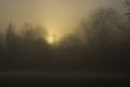 Weather / landscape: The sun sets on a foggy Autumn / Fall day over the park. 4