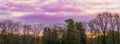 Weather phenomenons, pink and purple polar stratospheric clouds in the sky, forest landscape background Royalty Free Stock Photo