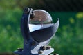 Weather station and the sun in a blue sky reflected in the glass sphere of a beautiful heliograph o Royalty Free Stock Photo