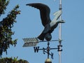 Weather vane with eagle Royalty Free Stock Photo