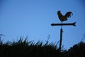 Weather vane