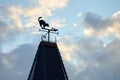 Weather vane on house roof in shape of cat catching mouse, cardinal directions, blue sky background Royalty Free Stock Photo