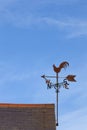Weather vane on a roof.