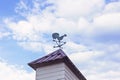 Weather vane on roof in form of cockerel