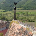 Weather vane on roof in Frauendorf, Romania