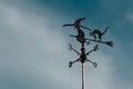 Weather vane of a witch.