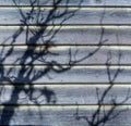 Weatherboard house with faded paint and the shadow of a tree