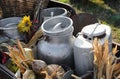 weathered aluminum milk cans brimming with fresh farm produce nestled in wooden cart Royalty Free Stock Photo