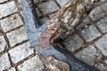 Weathered anchor at National Maritime Museum, Greenwich, London