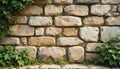 Weathered ancient limestone blocks form distressed uneven stone wall with moss, ivy growth. Wall construction provides rustic Royalty Free Stock Photo