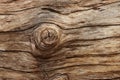 Weathered barn wood background with knots. brown old wood, sepia color. texture for background Royalty Free Stock Photo