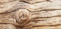 Weathered barn wood background with knots. brown old wood, sepia Royalty Free Stock Photo