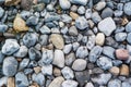 Weathered beach stones #6