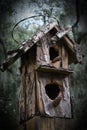 Weathered Bird House Battered By Squirrels And Woodpeckers