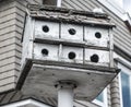 Weathered Bird House in Long Beach Island, New Jersey