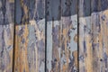 Weathered Blue Paint on Barnwood Texture - Close-Up Detail