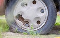 Weathered car wheel with dirt and grime. Rusty abandoned car in the parking lot. Restoration of a retro car. Flat tire. Vintage Royalty Free Stock Photo