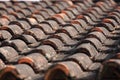 Weathered Ceramic Rooftile Mouldy and Mossy Royalty Free Stock Photo